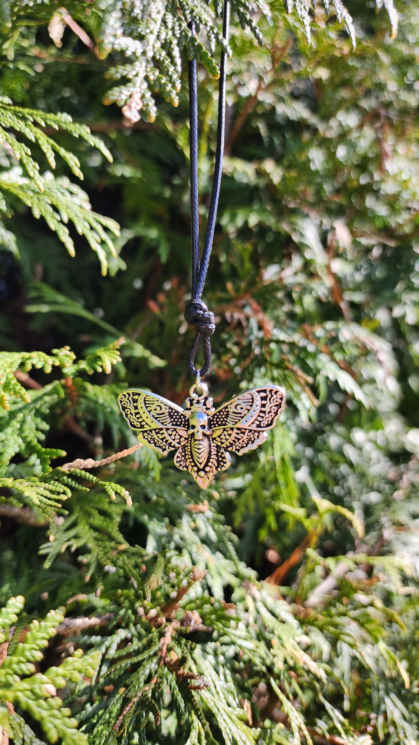 Collier Papillon Sphinx